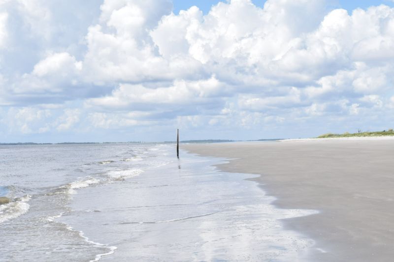 Why the Lack of Crowds Makes All the Difference