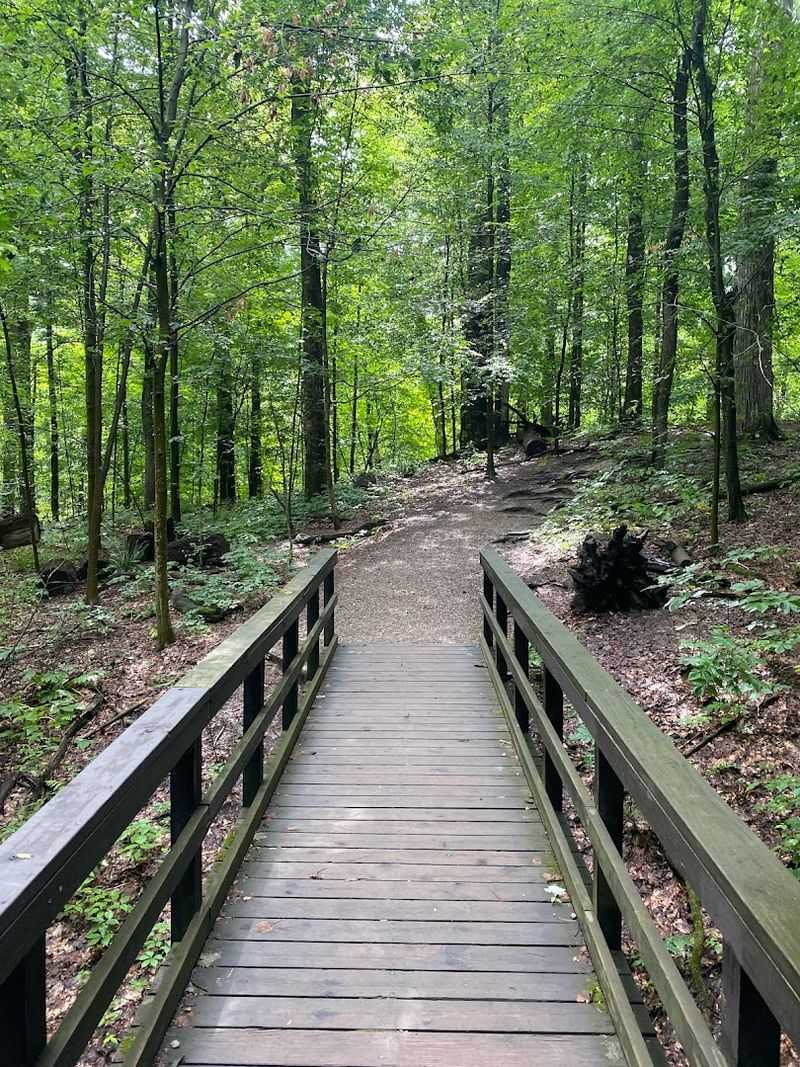 Why the Ledges Trail Deserves a Spot on Every Ohio Bucket List Why the Ledges Trail Deserves a Spot on Every Ohio Bucket List