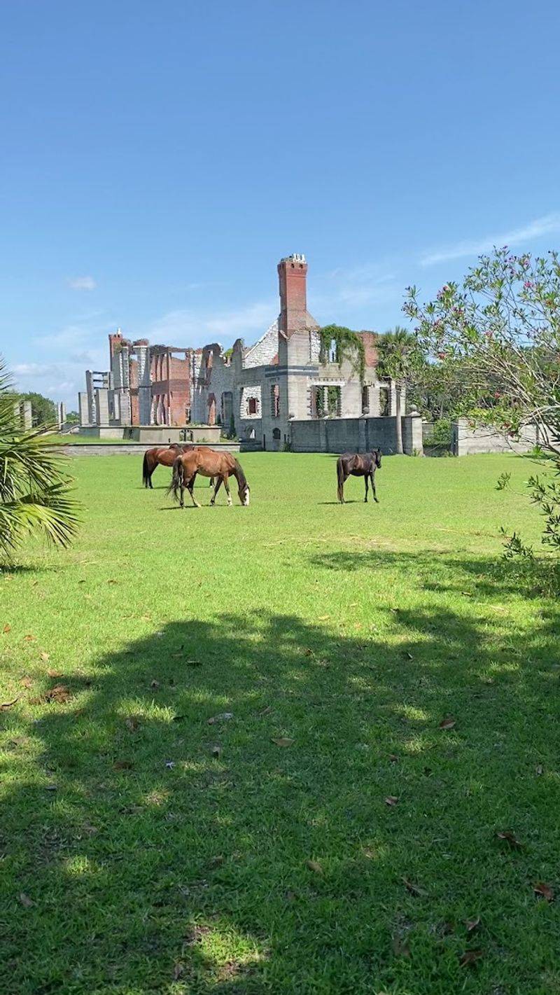 Wild Horses Roaming Freely Among the Ruins