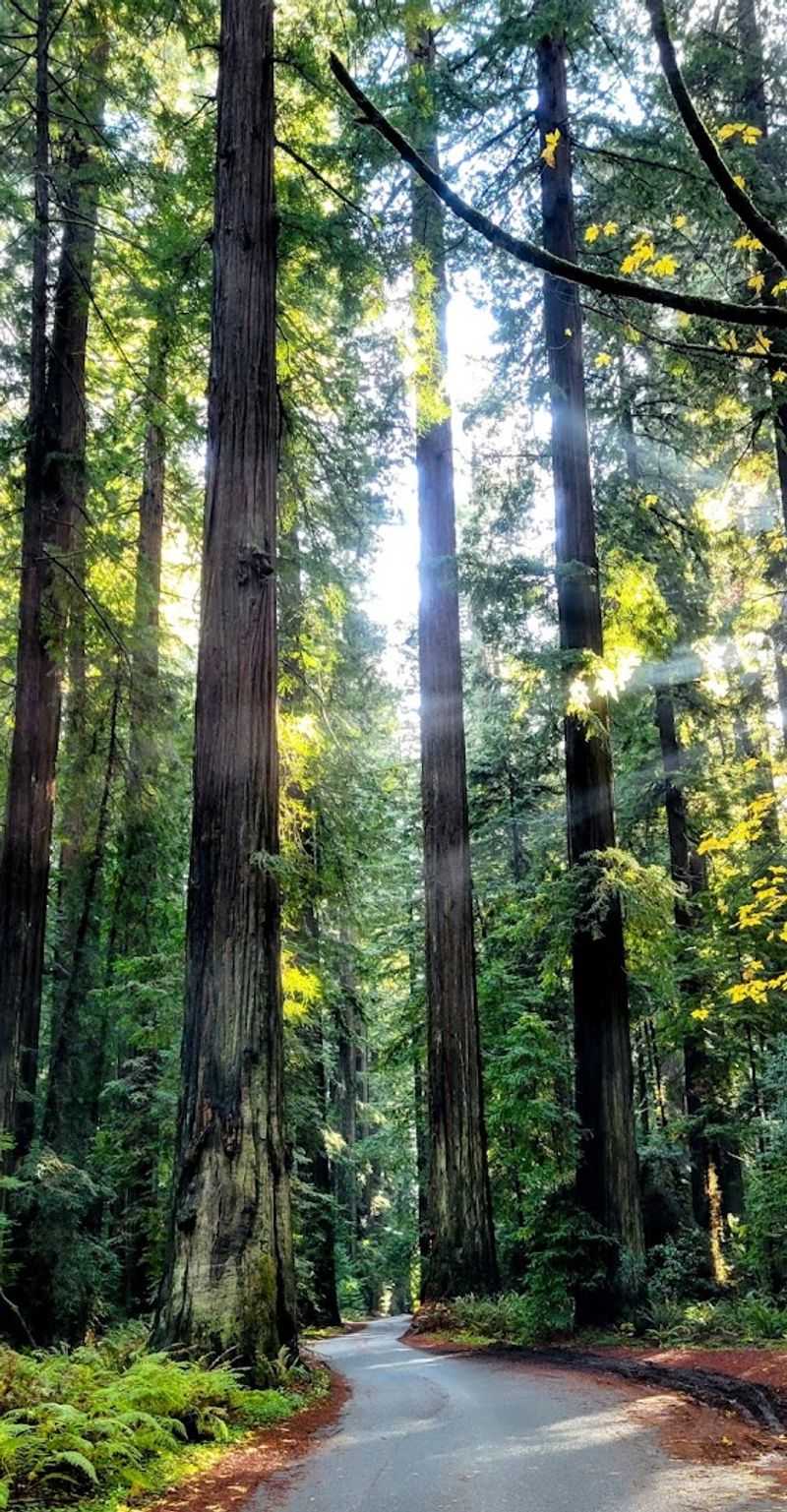 Wildlife Along the Route — More Than Just Trees