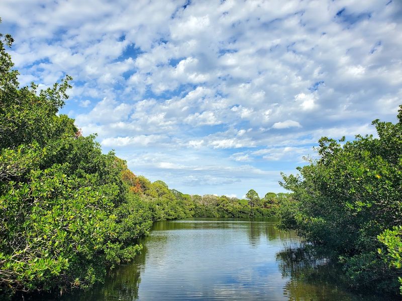 Wildlife And Nature Along The Park Trails