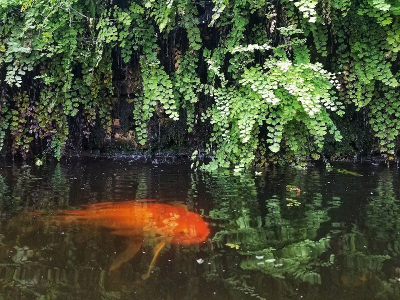 Wildlife Encounters Along the Trails