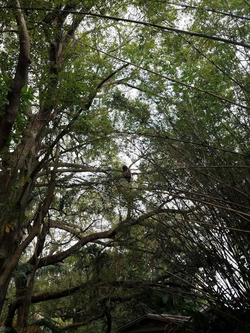 Wildlife Encounters Around Every Bend