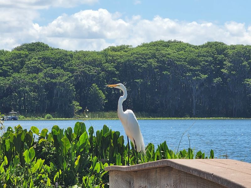 Wildlife Encounters Around Every Corner