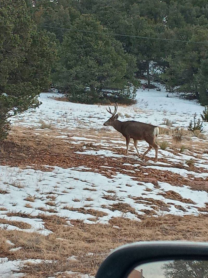 Wildlife Encounters Around Nearly Every Corner Wildlife Encounters Around Nearly Every Corner