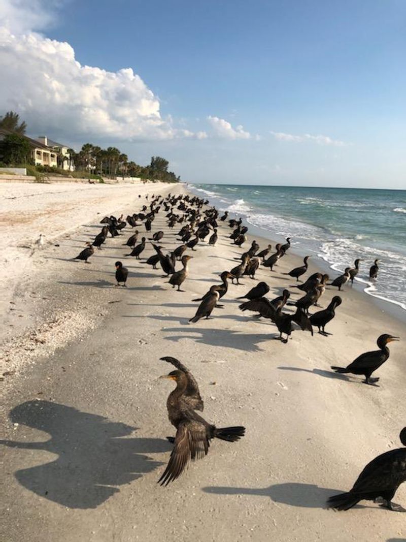 Wildlife Encounters That Will Catch You Off Guard