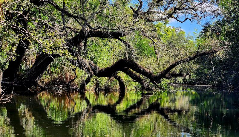 Wildlife Encounters That Will Catch You Off Guard