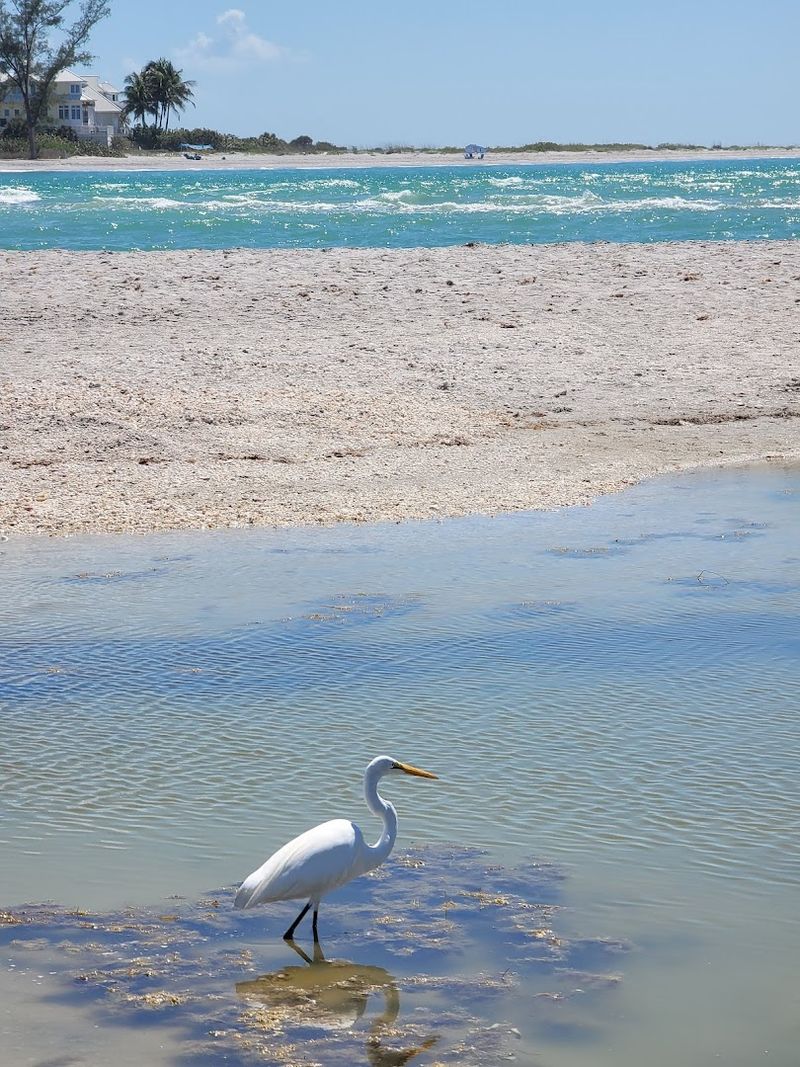 Wildlife Encounters That Will Leave You Speechless