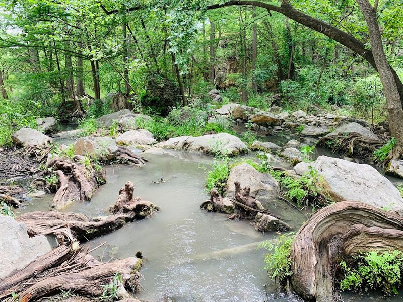 Wildlife, Fish, and the Living Ecosystem Around You