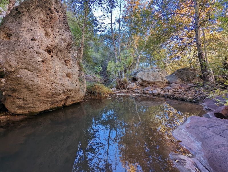 Wildlife Sightings — Unexpected Encounters in the Canyon Wildlife Sightings — Unexpected Encounters in the Canyon