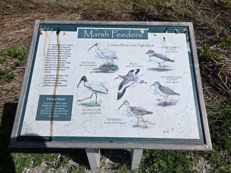 Wildlife Signs and Educational Exhibits Along the Way