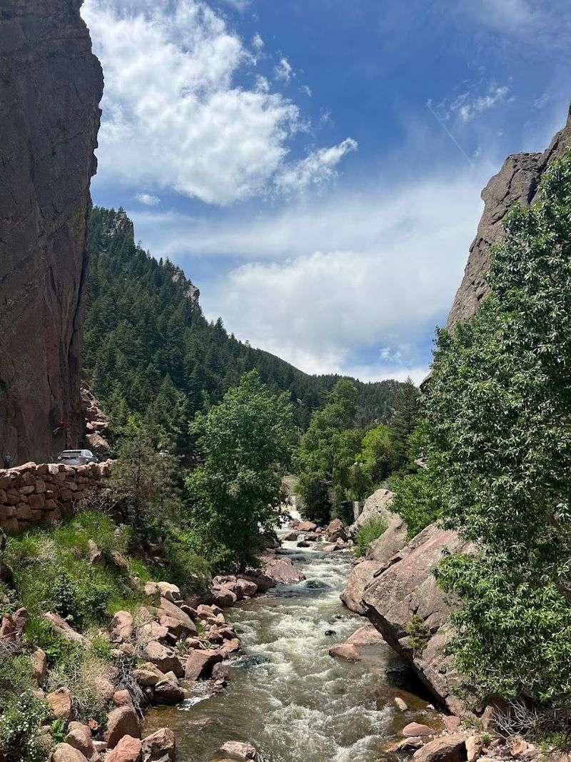 Wildlife Spotting Along the Trail: More Than Just Pretty Rocks