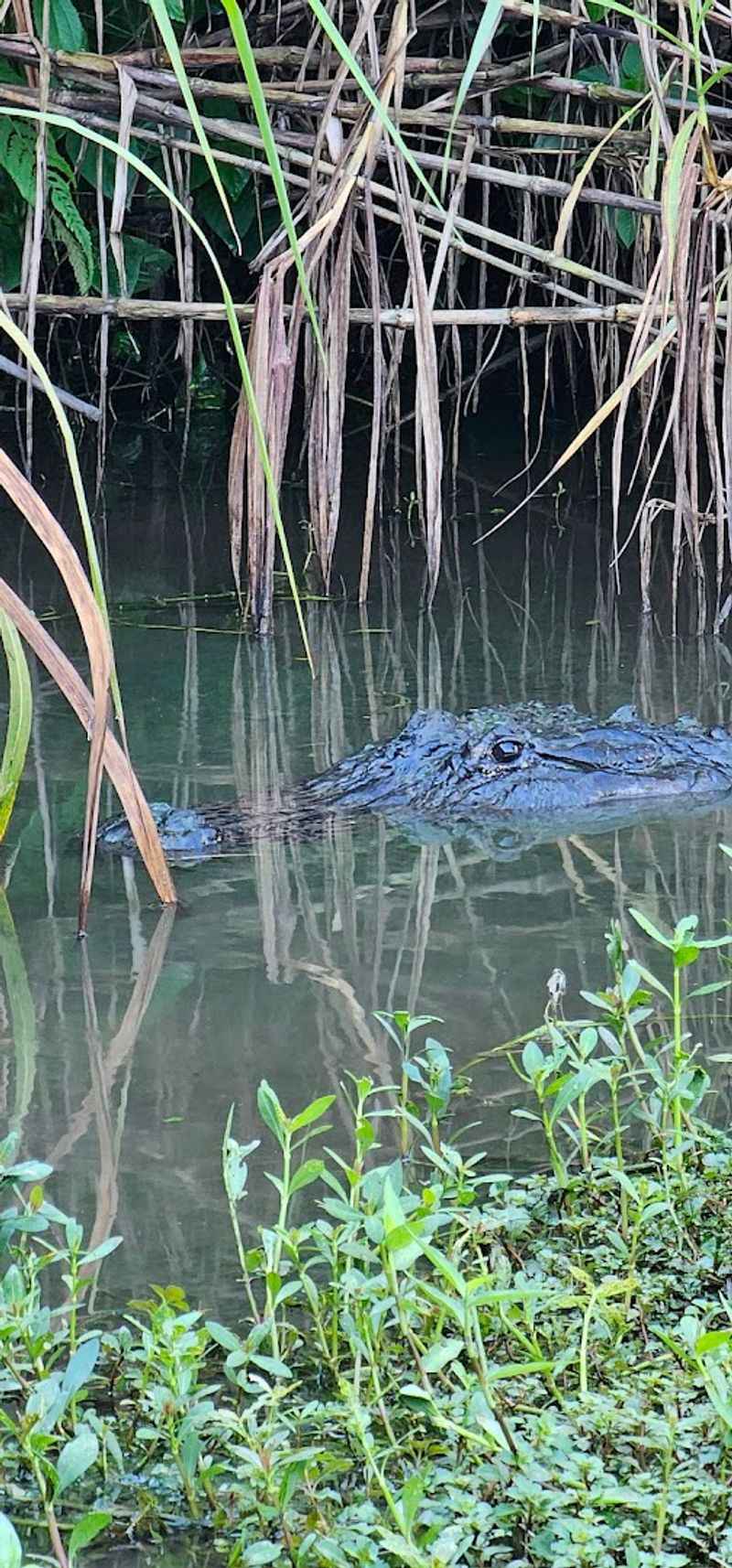 Wildlife Spotting Around Every Corner