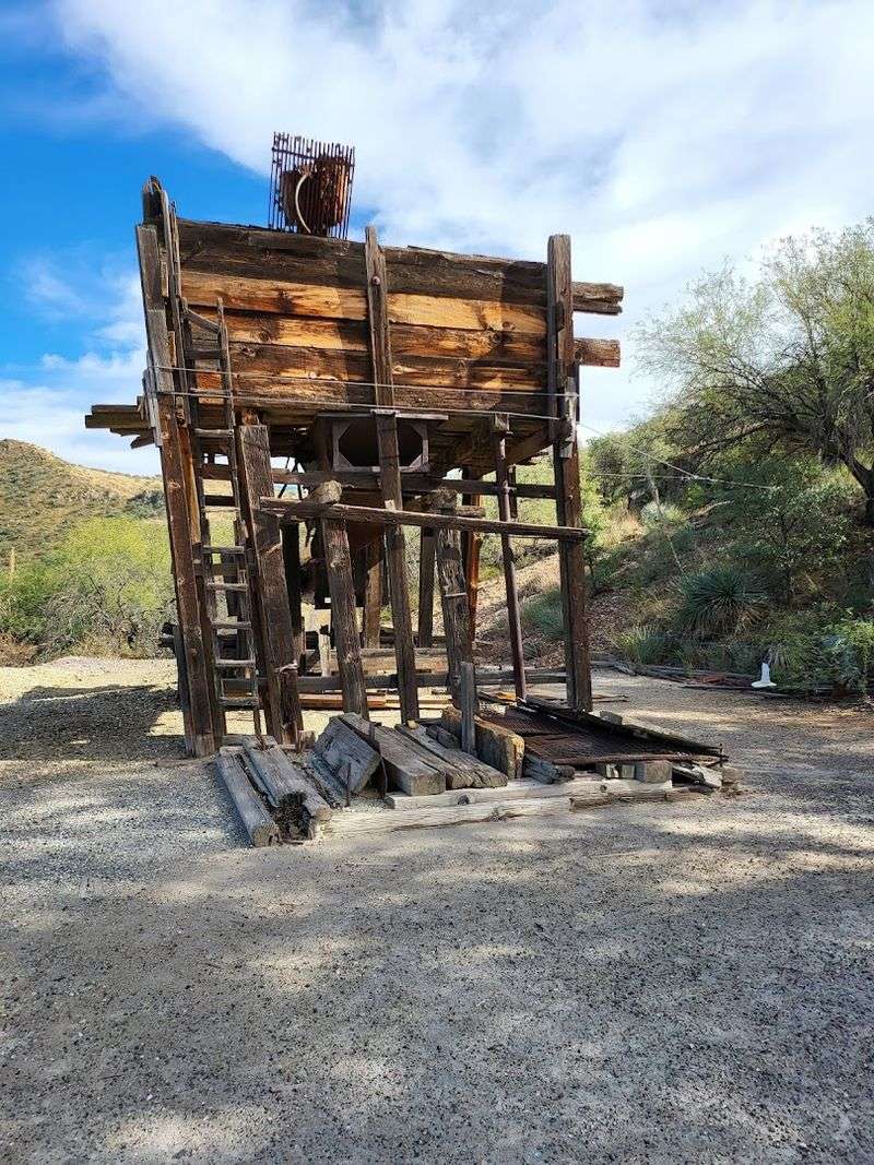 Wildlife Thriving in the Ghost Town Ruins