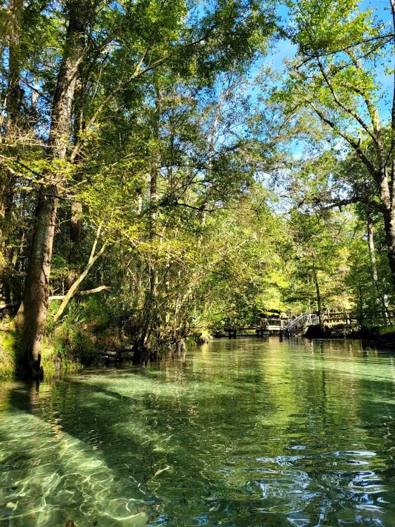 Wildlife Watching: Nature's Spectacular Backyard