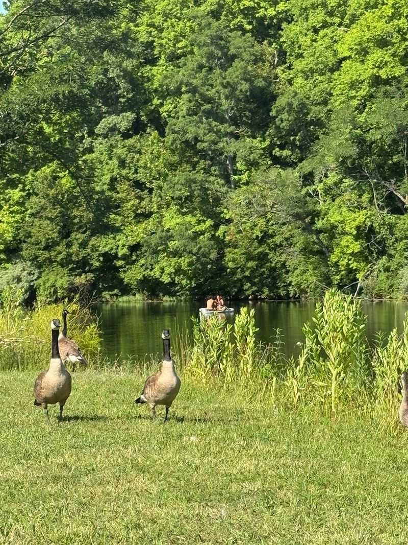 Wildlife Watching That Feels Almost Surreal