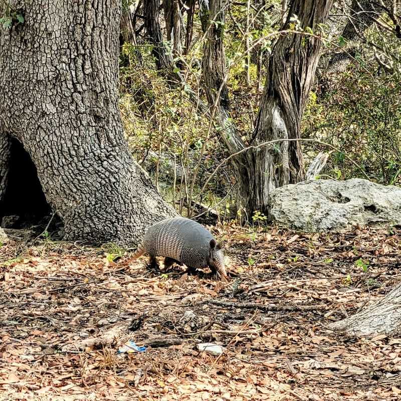 Wildlife Watching and Nature Exploration Wildlife Watching and Nature Exploration