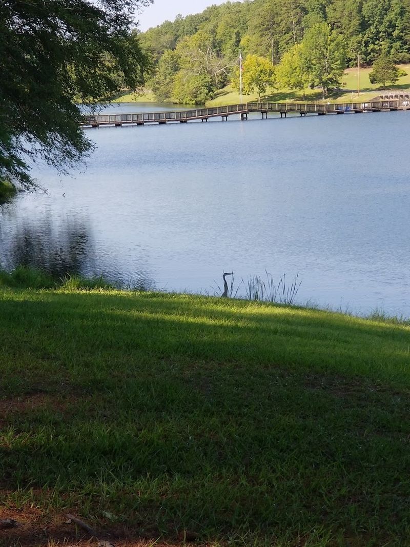 Wildlife, Wildflowers, and Nature Observation