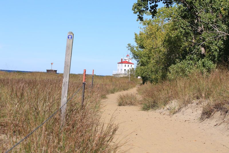 Wildlife and Nature Along the Preserve