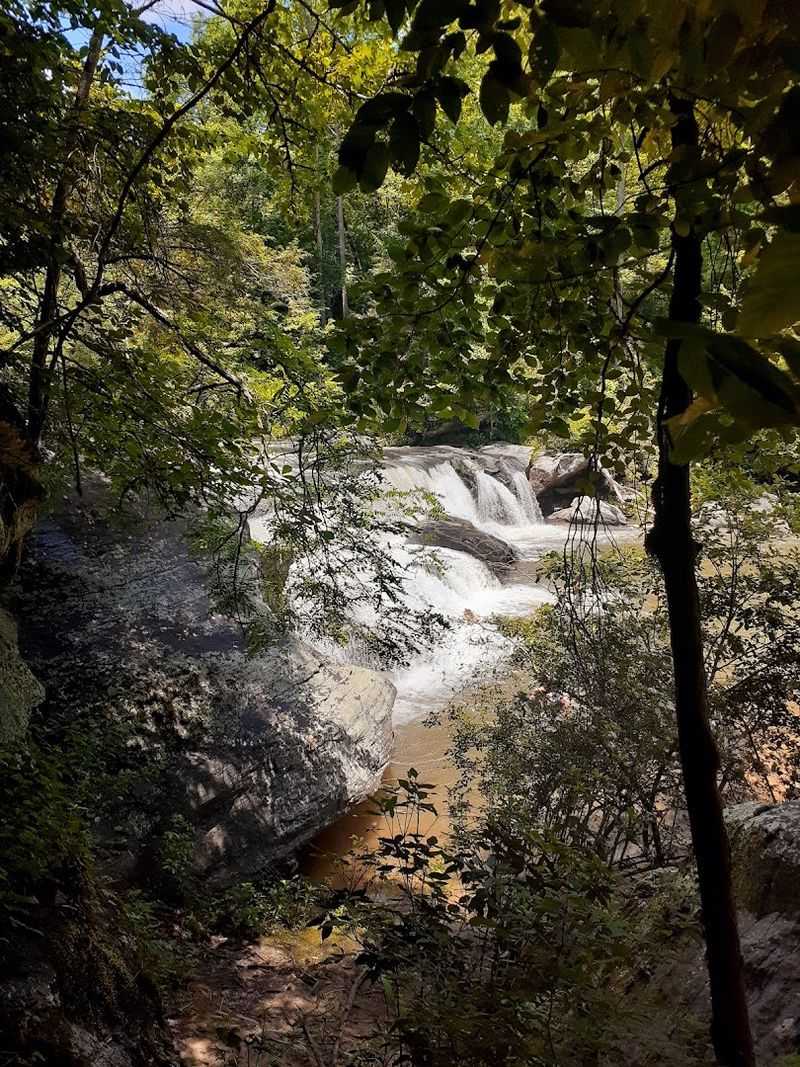 Wildlife and Nature Along the Trail