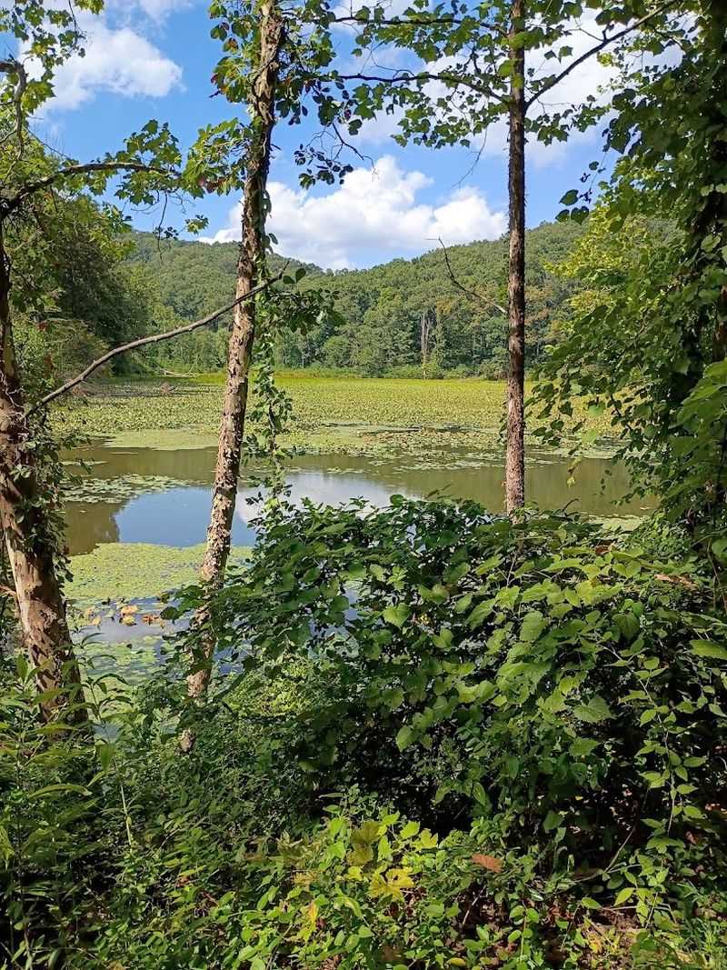 Wildlife and Nature Along the Way