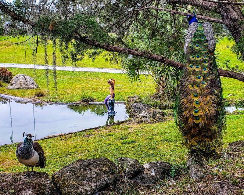 Wildlife and Nature Education Shows