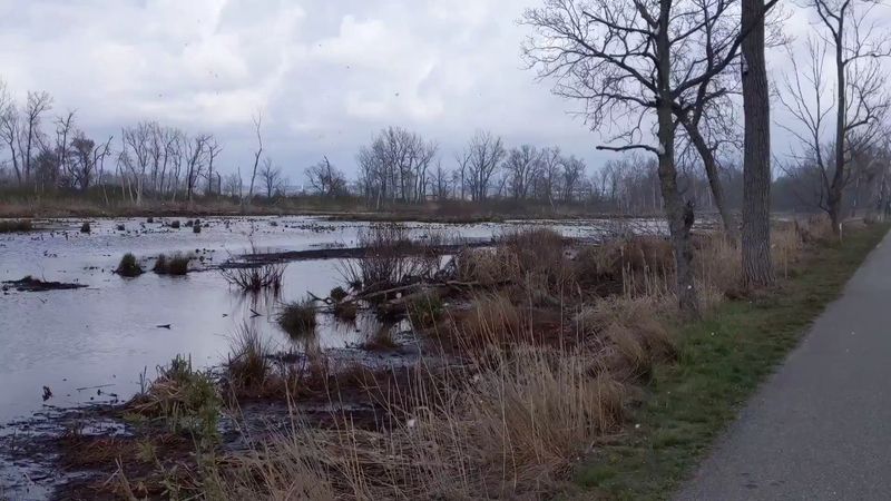 Wildlife and Nature Encounters Around Every Corner