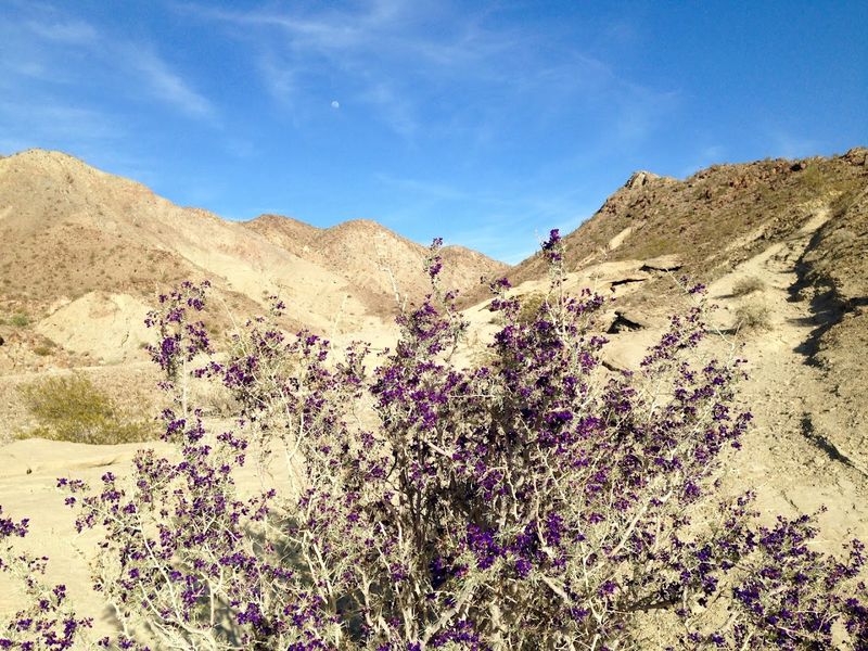 Wildlife and Nature: More Than Just Rocks Wildlife and Nature: More Than Just Rocks