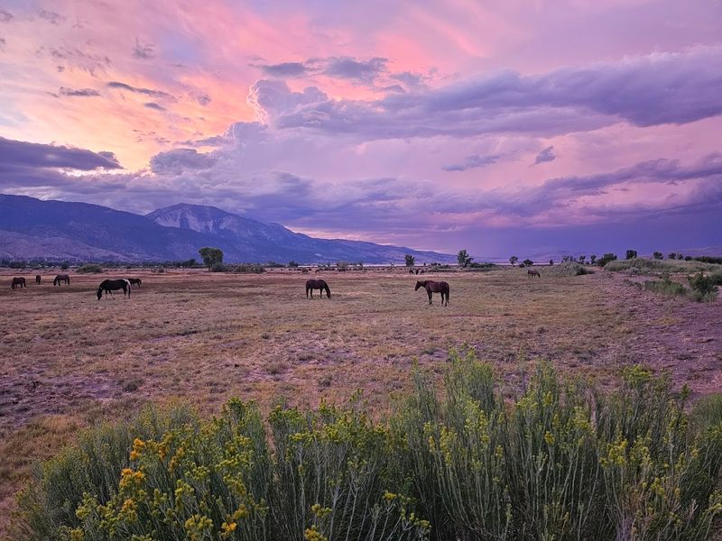 Wildlife and Nature Photography Opportunities