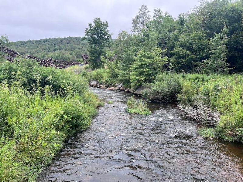 Wildlife and Nature Surrounding the Park