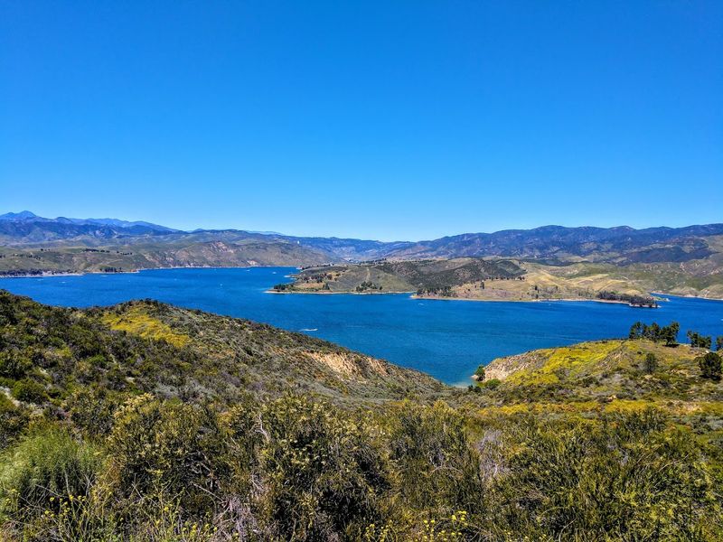 Wildlife and Nature That Feels Worlds Away From LA Wildlife and Nature That Feels Worlds Away From LA