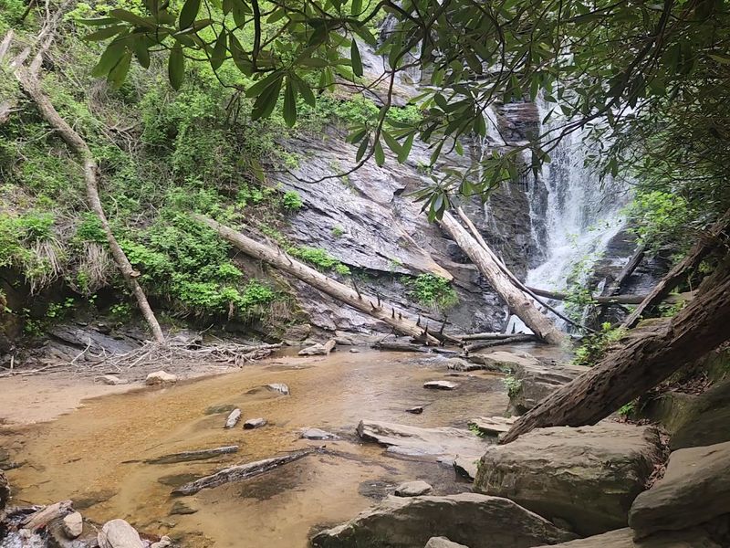 Wildlife and Nature You Might Spot Along the Trail