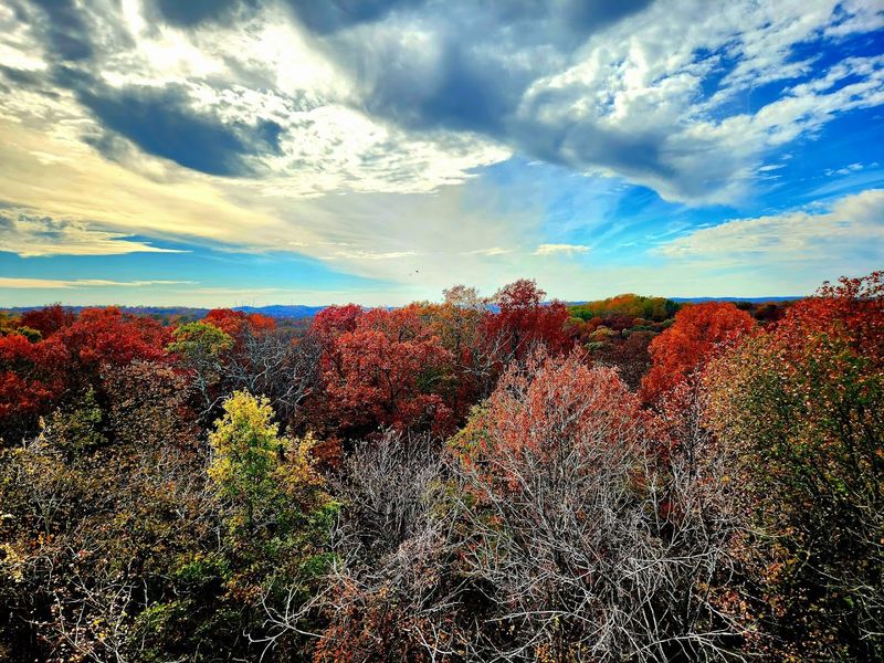 Wildlife and Plant Diversity