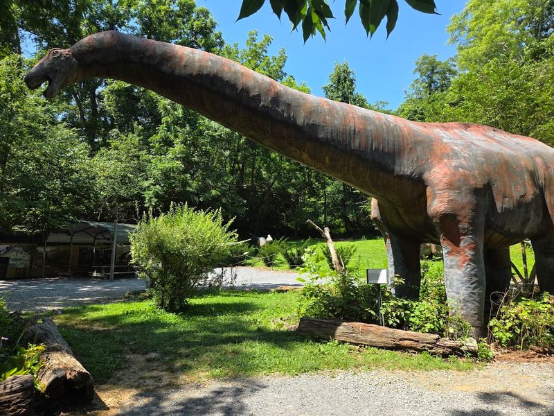 Winding Nature Trails Through East Tennessee's Beautiful Forest