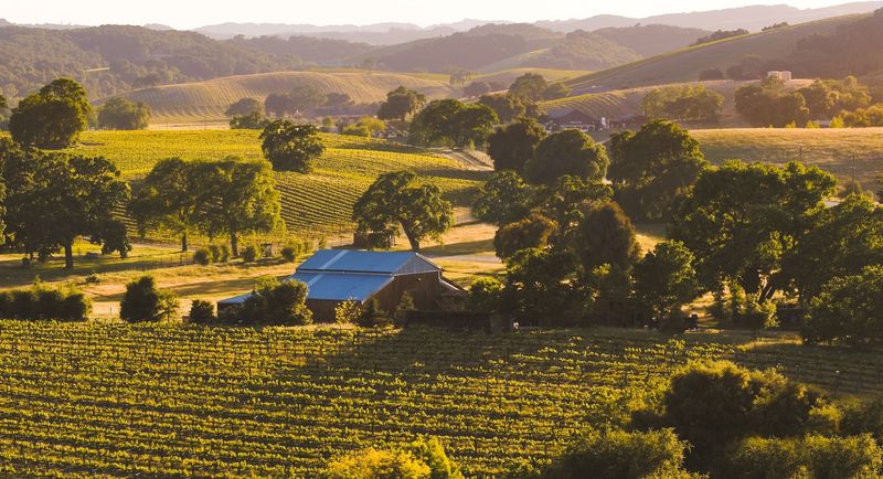 Wine Country That Feels Like a Well-Kept Secret