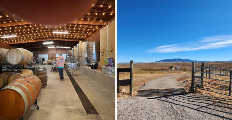Wine Lovers Are Discovering This Arizona Vineyard And It’s Easy To See Why