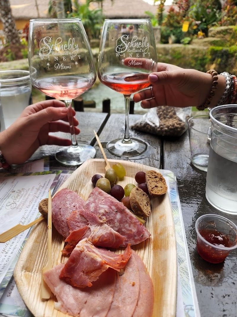 Wine Tastings That Feel Like a Celebration