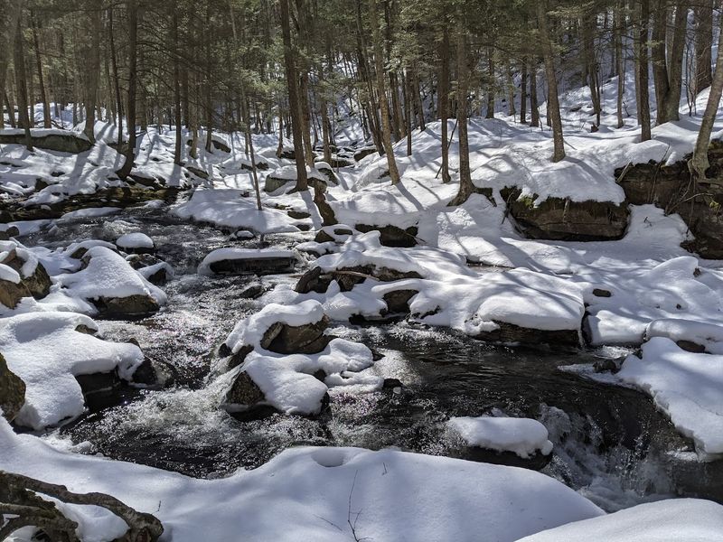 Winter Activities: Cross-Country Skiing and Snowmobiling
