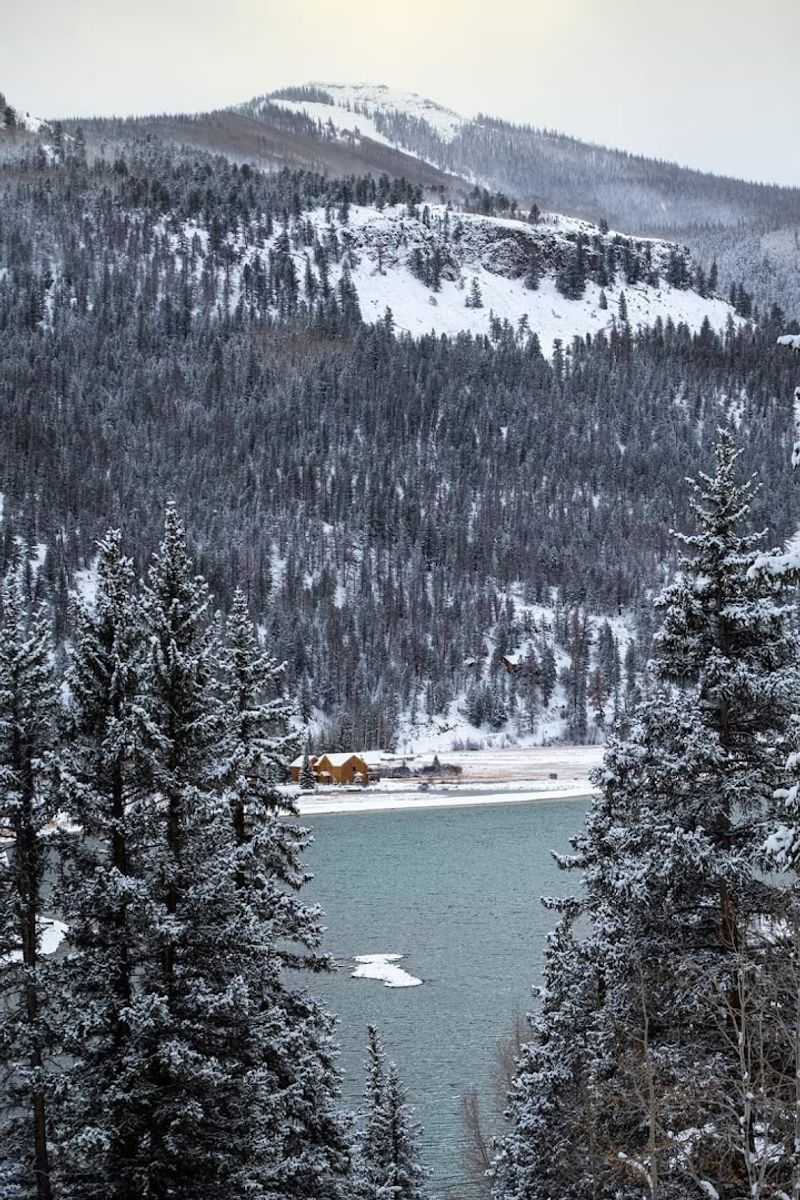 Winter Snowmobiling and Cross-Country Skiing