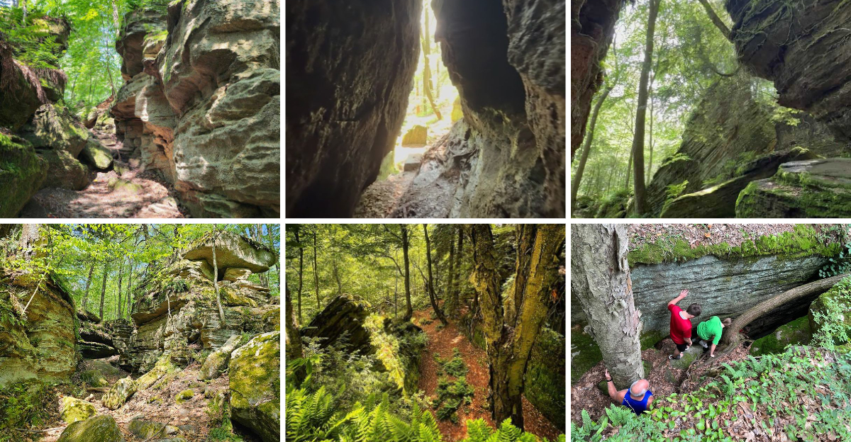 With Its Dramatic Landscapes, This Stunning New York State Park Feels Like A Fantasy World Come To Life