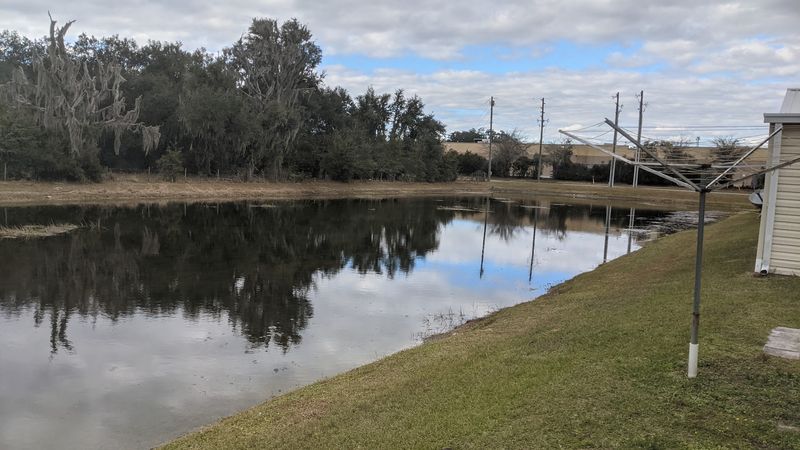 Withlacoochee River Fishing Spots