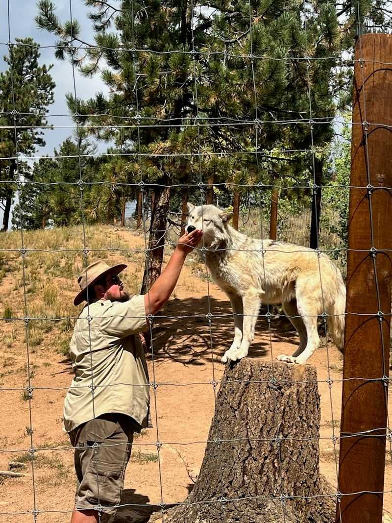 World-Class Animal Care Standards