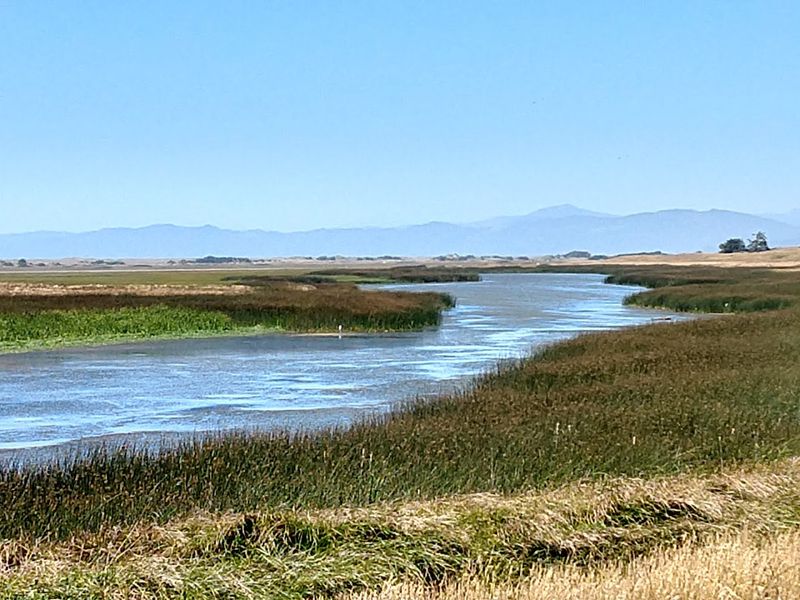 World-Class Birdwatching Opportunities