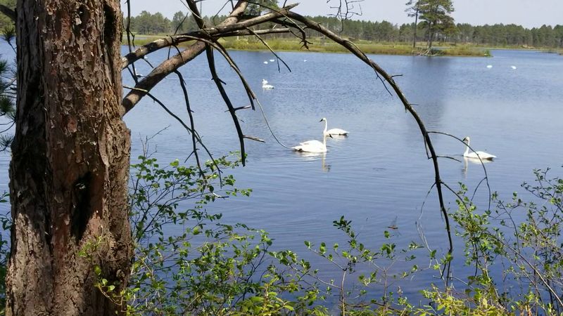 World-Class Birdwatching Opportunities