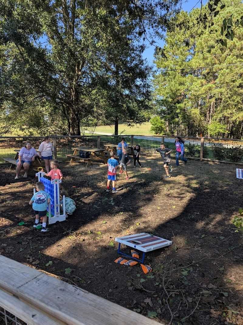 Yard Games and Outdoor Seating for the Whole Family