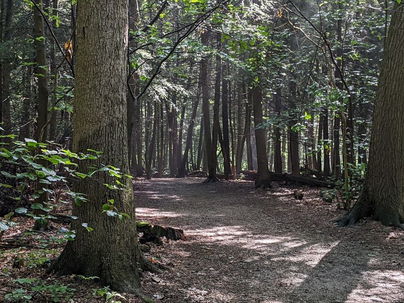 Year-Round Hiking Opportunities