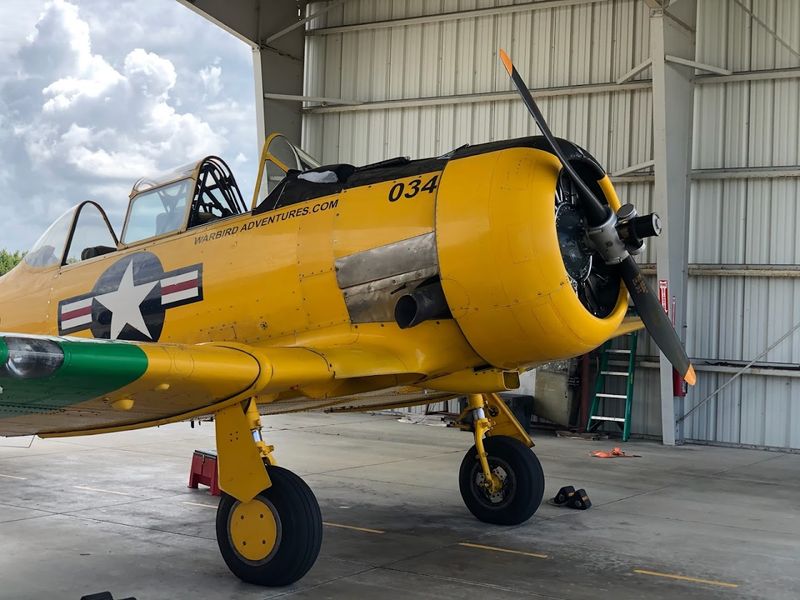 You Can Actually Fly the Plane Yourself