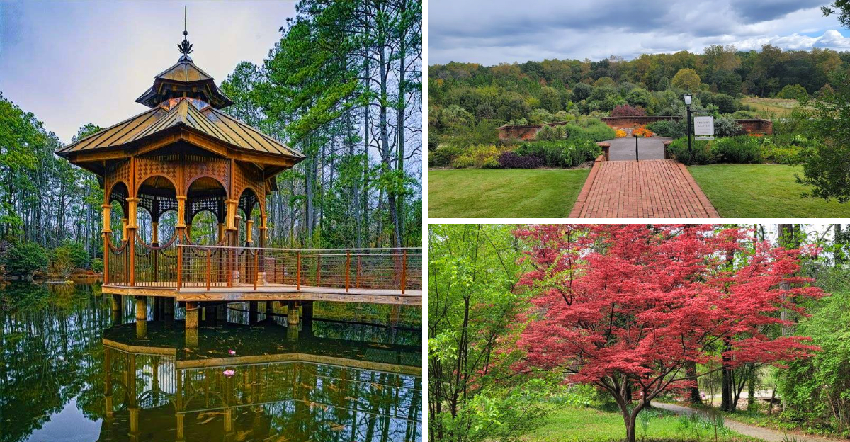 You Can Explore This Enchanting South Carolina Botanical Garden Completely Free Of Charge