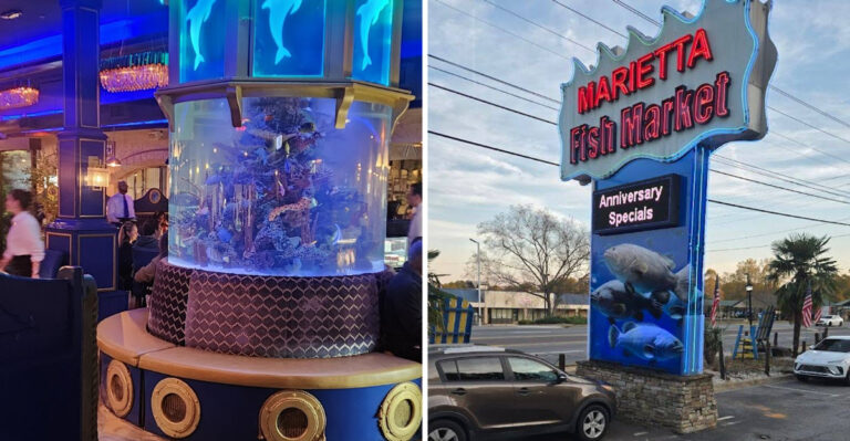 You can dine surrounded by thousands of fish at this magical restaurant in Georgia unlike anywhere else in the state