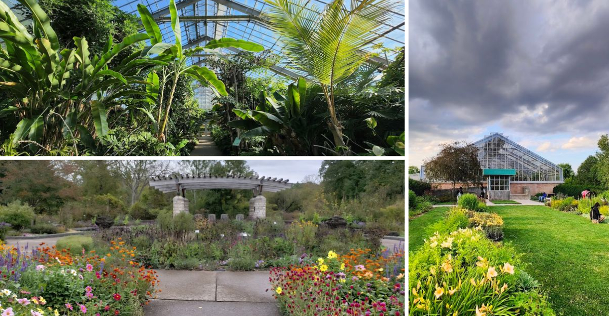 Youd Never Believe This Unforgettable Michigan Botanical Garden Is Completely Free To Visit